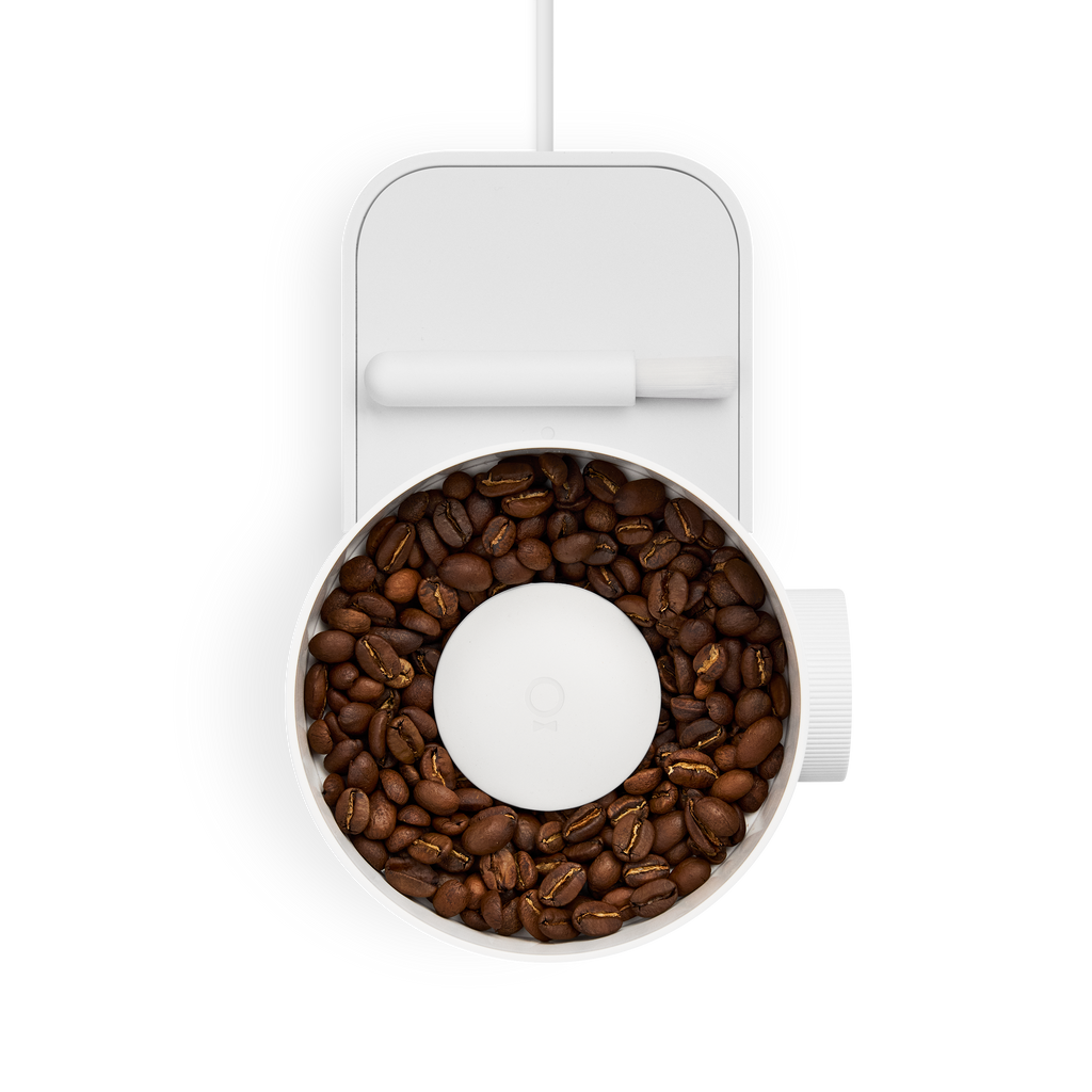 Opus 2 Konischer Burr Grinder